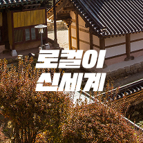 로컬이 신세계