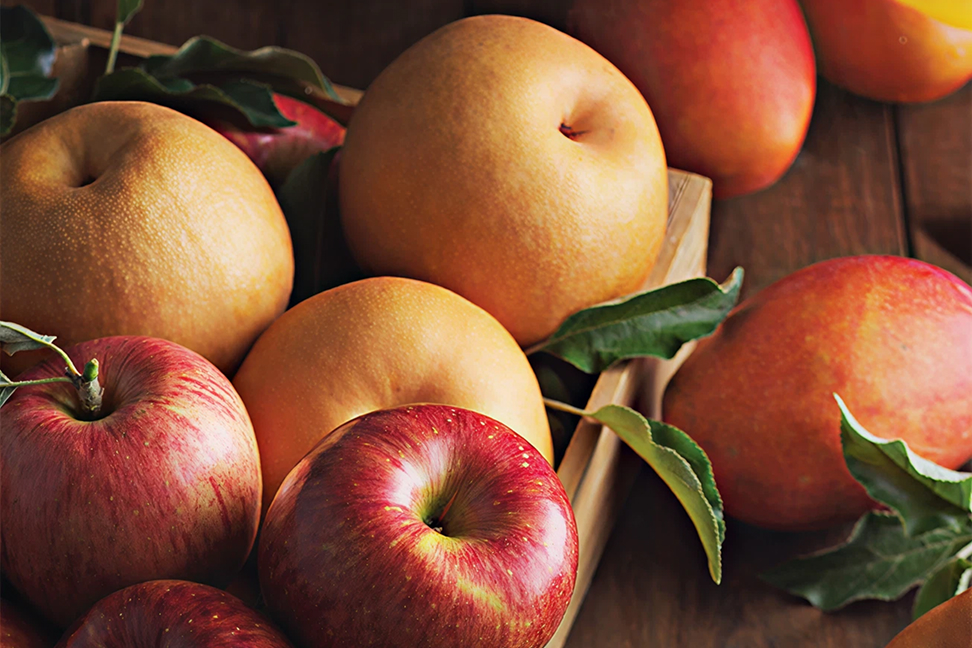 신세계 명품 청과