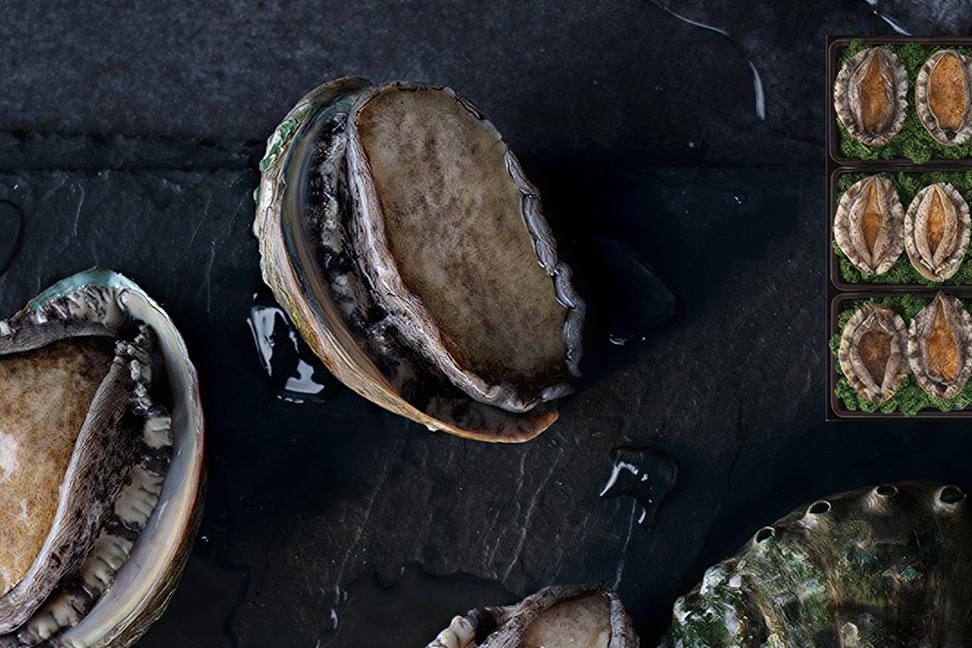 신세계 명품 수산