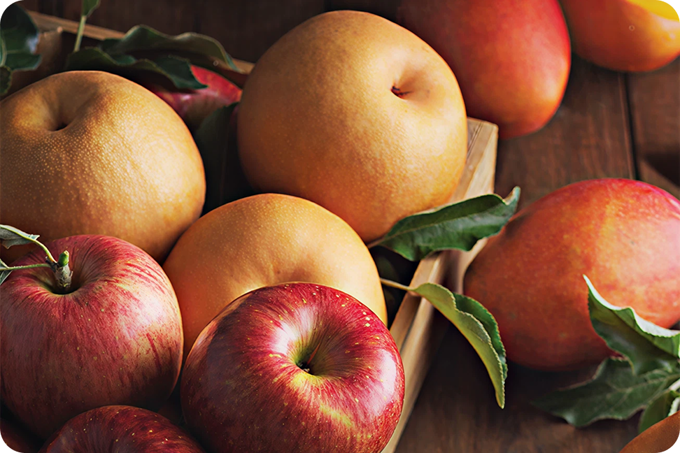 신세계 명품 청과