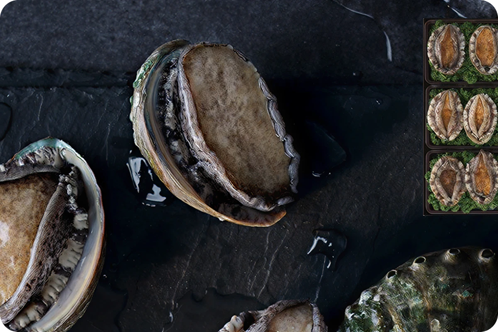 신세계 명품 수산