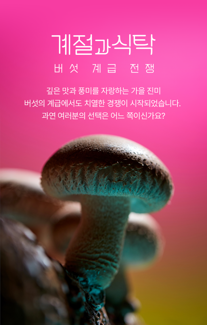 계절과 식탁 - [버섯 계급 전쟁] 깊은 맛과 풍미를 자랑하는 가을 진미 버섯의 계급에서도 치열한 경쟁이 시작되었습니다. 과연 여러분의 선택은 어느 쪽이신가요?